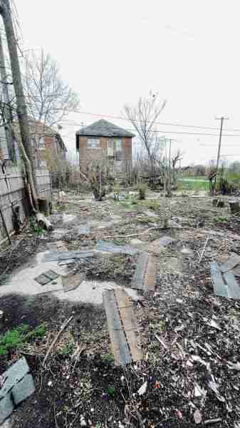 4519267_0016 (2).jpg